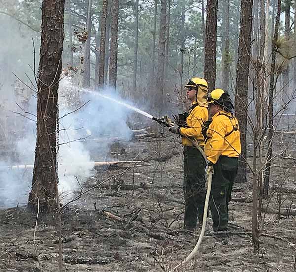 Not Just Any Day in the Woods | A Writer Observes a Prescribed Burn | Aiken Bella Magazine