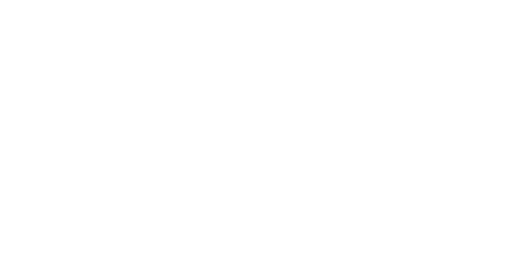 Southern Bella Magazine White Logo