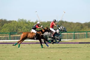 Horsin’ Around in Aiken | A Spectator’s Primer to Equestrian Sports | Aiken Bella Magazine