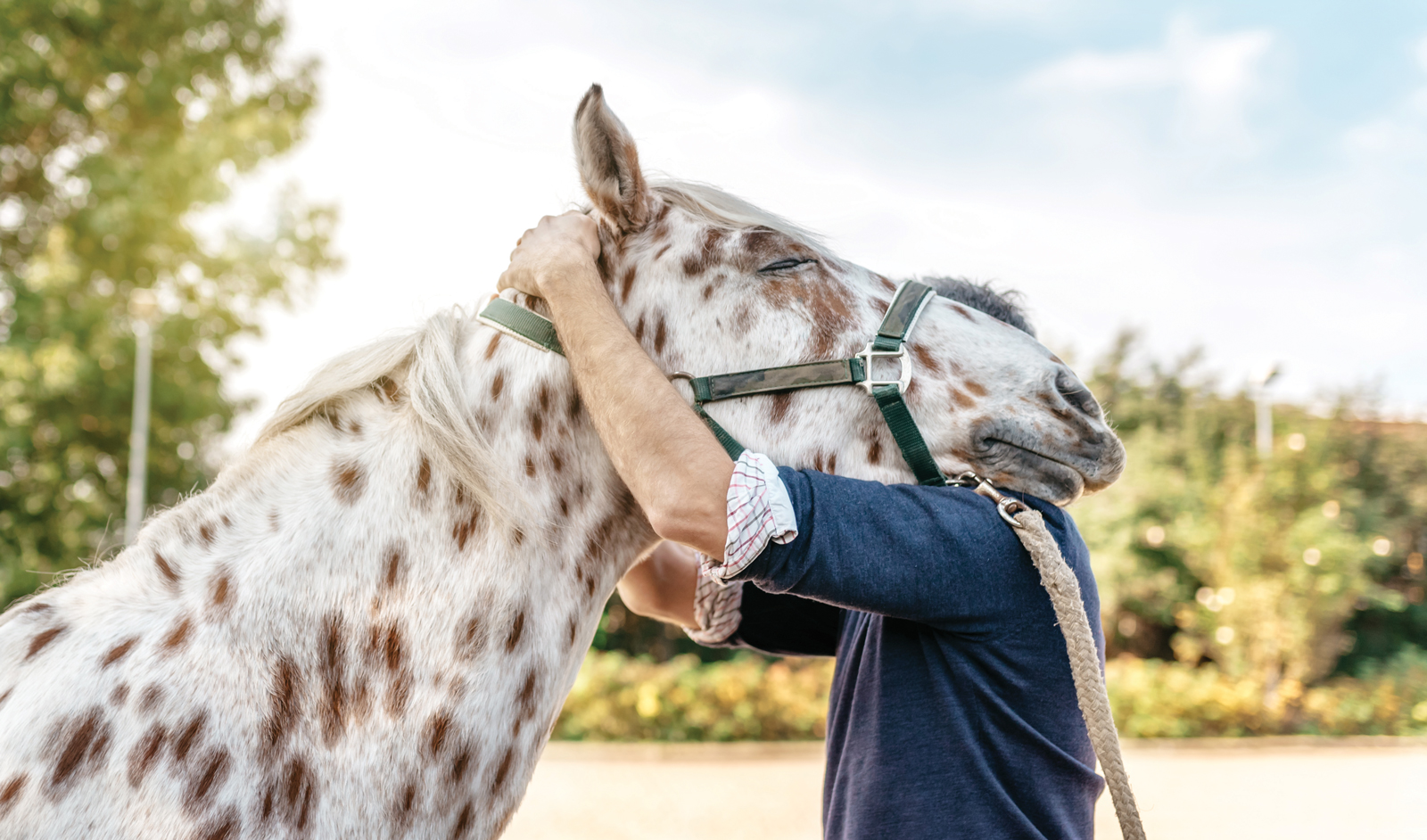 Is Your Head on Straight? Because Your Horse Knows If It’s Not! | Aiken Bella Magazine