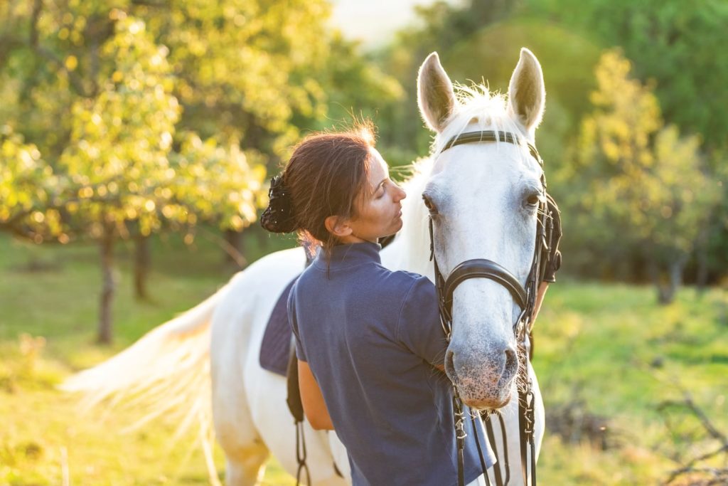 “To Be Equestrian or Not To Be”