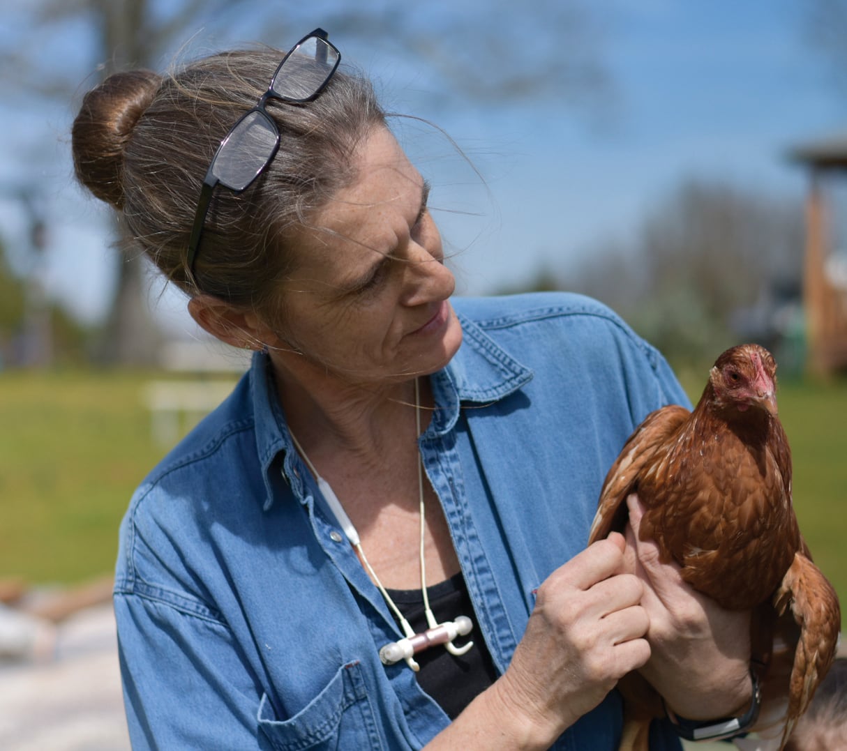 Down on the Farm | Living the Dream | Aiken Bella Magazine