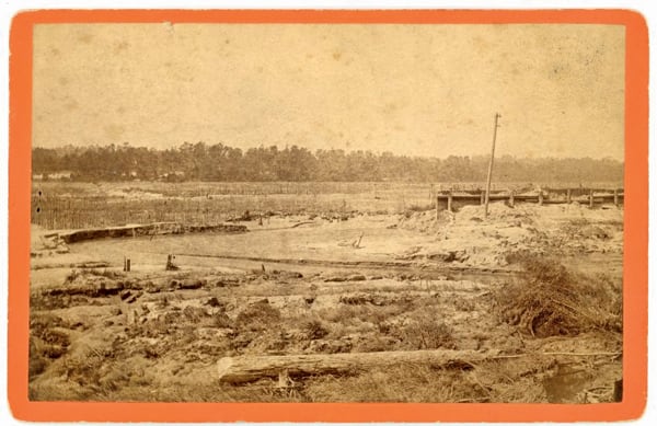 Aiken County — Celebrating 150 Years | Cabinet of Curiosities | Palmetto Bella