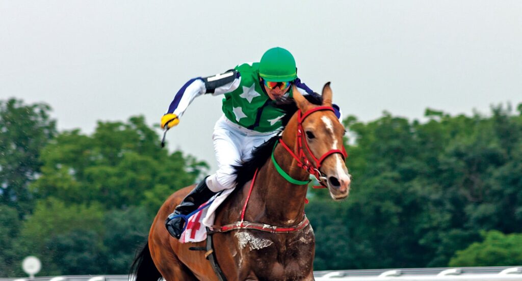 Lots of Luck at the Aiken Trials